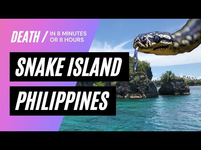 REAL SNAKE ISLAND IN THE PHILIPPINES - KILLER SNAKES!!!