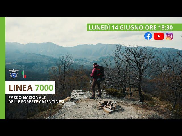 #LINEA7000 | Trekking sostenibile sul #SentieroItaliaCai: 2. Parco Nazionale Foreste Casentinesi