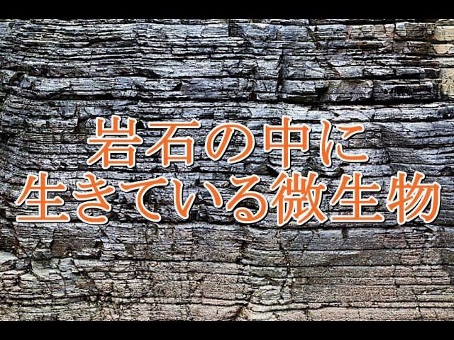 岩石の中に生きている微生物