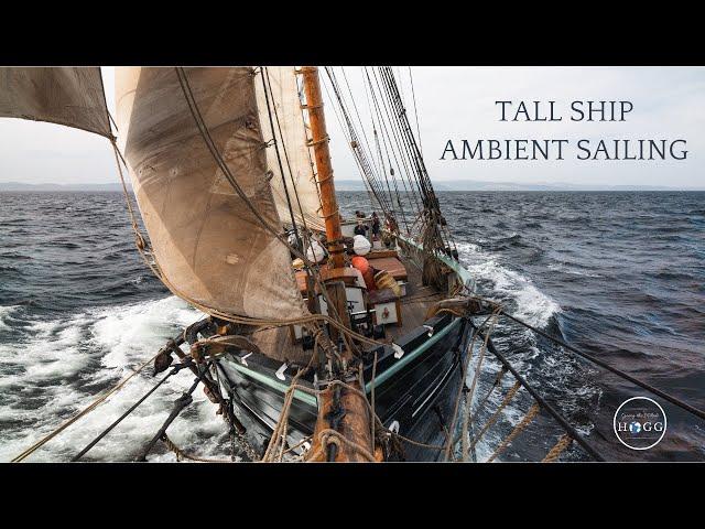 1 Hour Tall Ship Sailing Below Decks Ambient Audio (for sleep/study/relaxation)