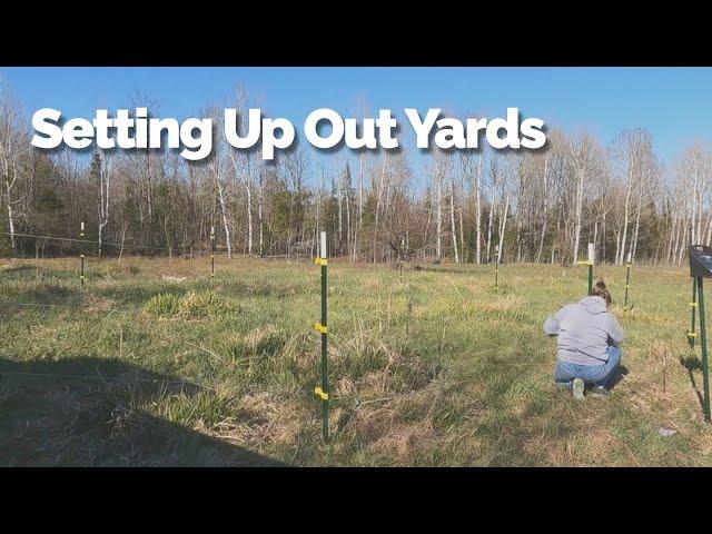 Setting Up Bee Yards - May 1st