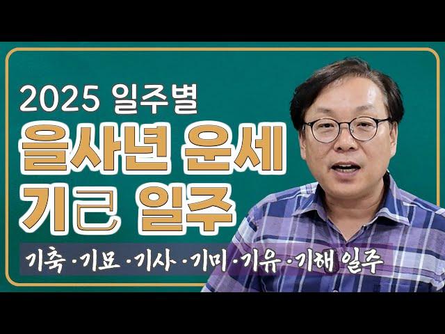 일주별 을사년 운세 - 기일주 (기축/기묘/기사/기미/기유/기해)