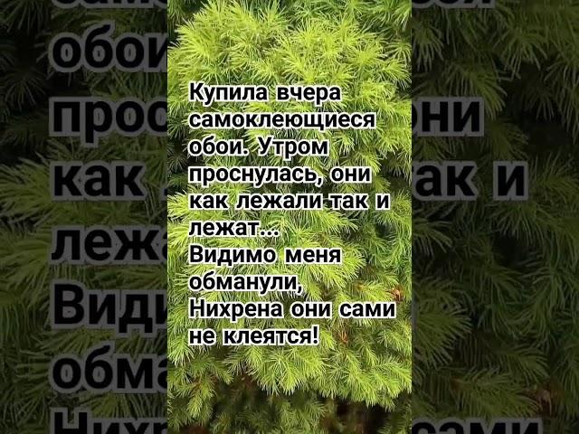 анекдот про самоклеющиеся обои, смешные анекдоты #117, анекдот, шутки, лучшие анекдоты,юмор, приколы
