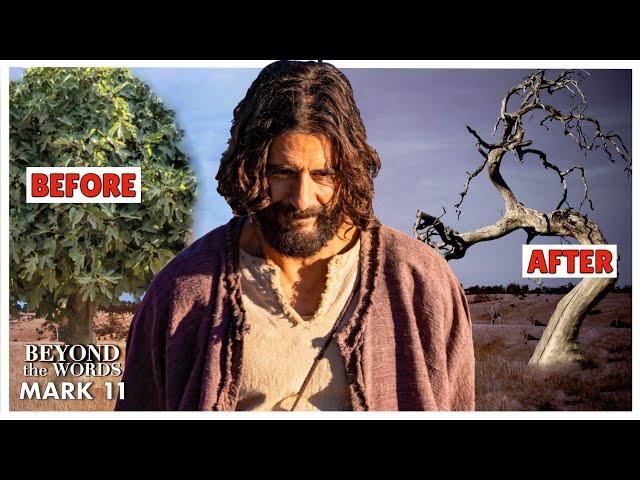 Why You Should be CONCERNED that Jesus KILLED a Tree | Beyond the Words | Mark 11