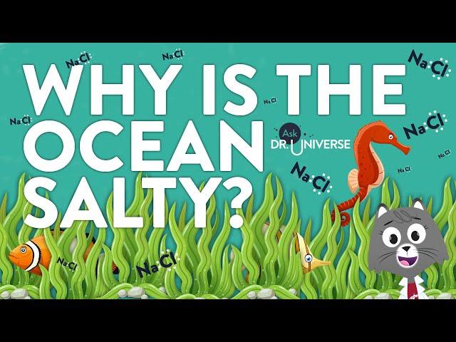 Why Is The Ocean Salty?