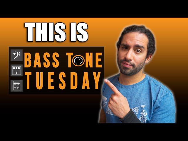 THIS IS BASS TONE TUESDAY