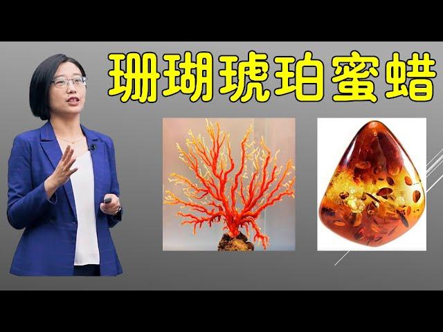 什么是珊瑚？琥珀和蜜蜡有什么区别？