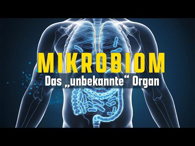 Mikrobiom - Das bisher unbekannte Organ: So beeinflusst es deine komplette Gesundheit