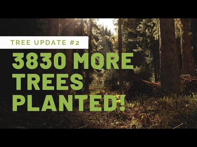 Tree Update #2 - 3830 more trees planted!