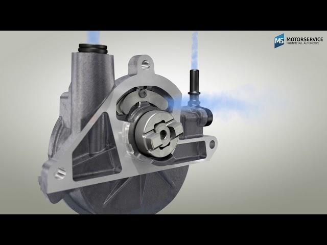 How does a vacuum pump work? (3D animation) - Motorservice Group