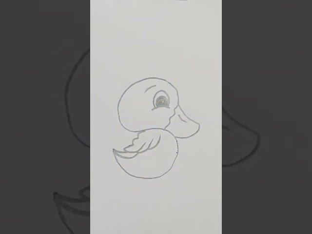 Easy Duckling Drawing