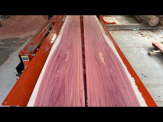 From Forest to Finished Product: A Sawmill's Journey of Creation