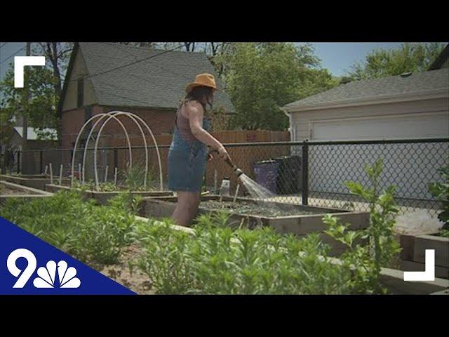 Denver community garden helps address food insecurity