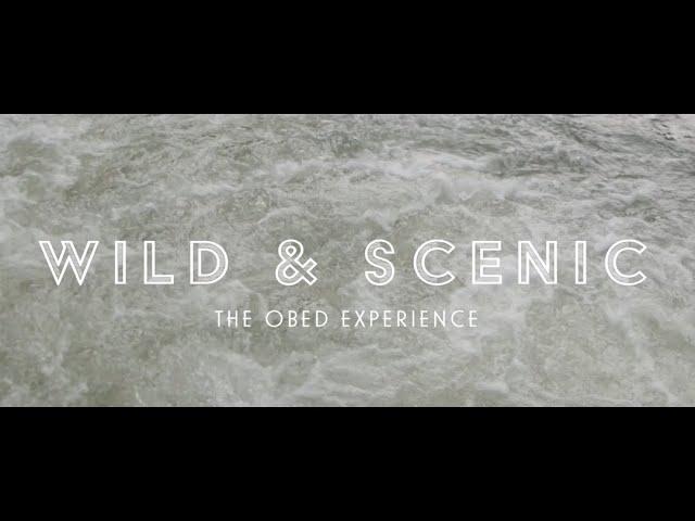 Wild and Scenic - The Obed Experience