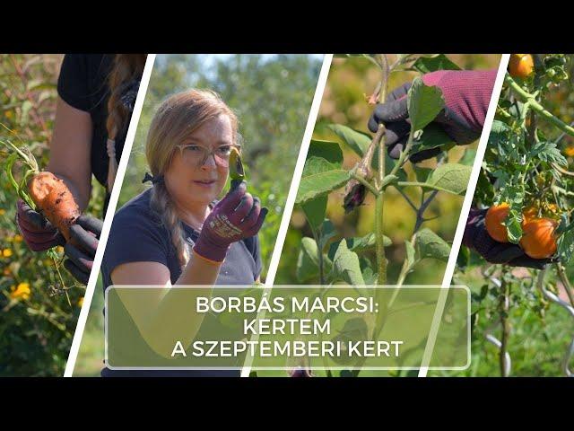 A szeptemberi kert - Borbás Marcsi: Kertem