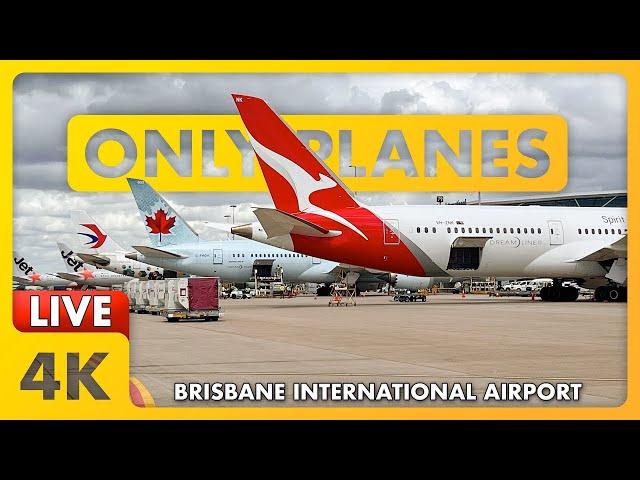  Midweek PLANE SPOTTING @ BNE / YBBN / BRISBANE Airport w/ James + ATC ️️