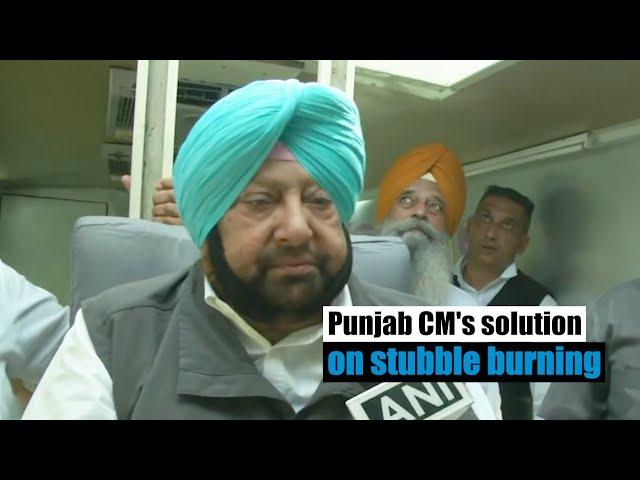 Punjab CM's solution on stubble burning as Delhi enters 'poor' air quality category