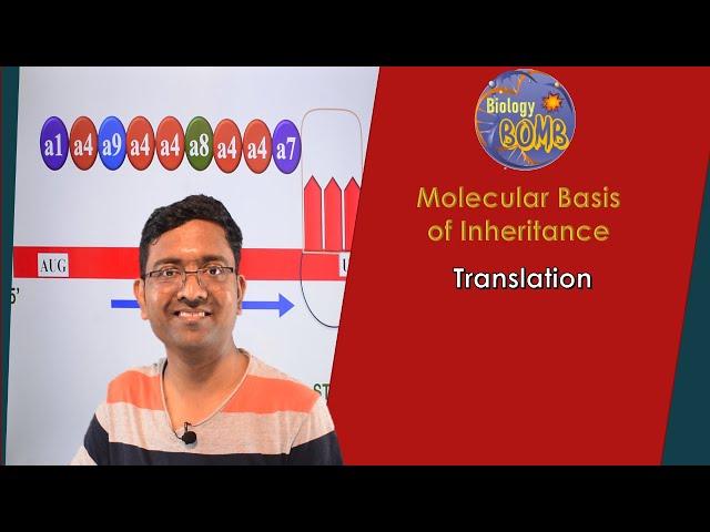 Translation - Protein synthesis I NEET I Dr Kunal Tatte