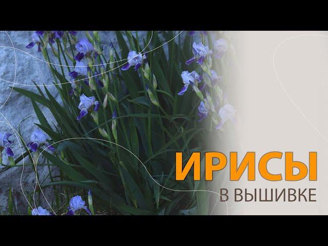 ТОП-30 моих любимых ирисов в вышивке