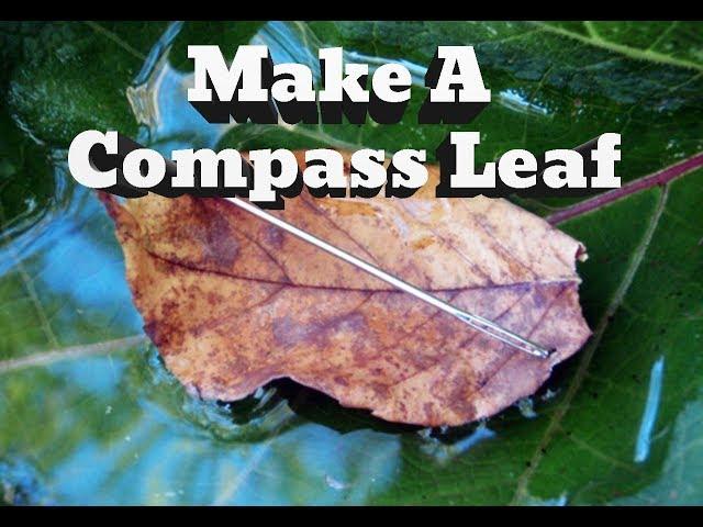 Make a Compass Leaf