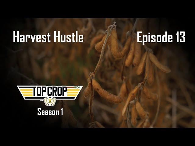 Top Crop | Episode 13 | Harvest Hustle