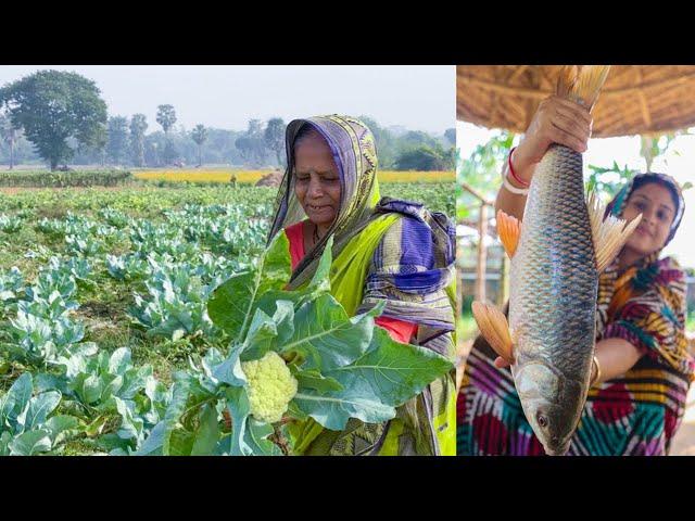 নদীর টাটকা রুই মাছ দিয়ে শীতের ফুলকপি রান্না |