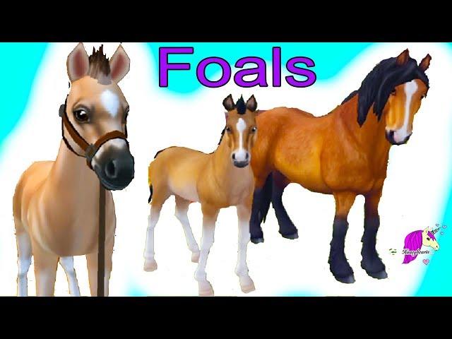 Training Foals ! Star Stable Horses App Online Horse Let's Play Game