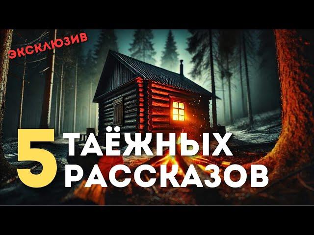 СБОРНИК: 5 Таёжных Рассказов | Таёжные Истории | Байки | Мистика | Аудиорассказ | Истории за Гранью