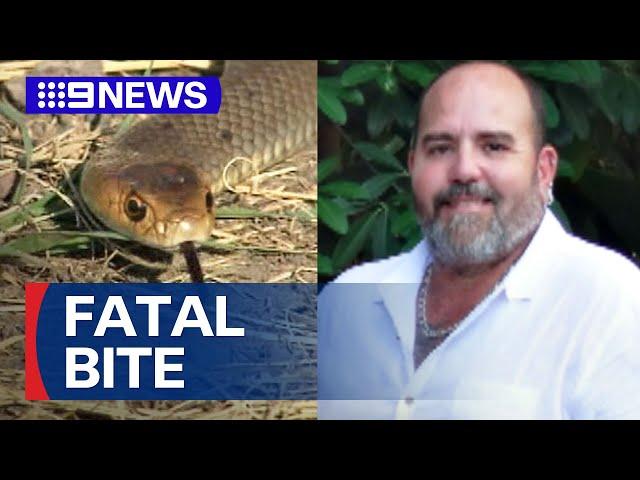 Man dies attempting to remove brown snake from childcare centre | 9 News Australia