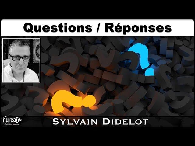 « Questions / Réponses » avec Sylvain Didelot