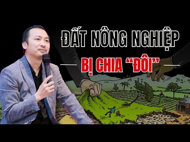 CHIẾN LƯỢC ĐỊNH GIÁ VÀ ĐẦU TƯ BẤT ĐỘNG SẢN NÔNG NGHIỆP 2024