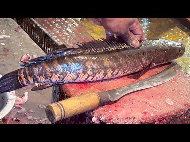 Amazing Cutting Skills | Big Sola-Rohu-Carp Fish Cutting Skills In Fish Market