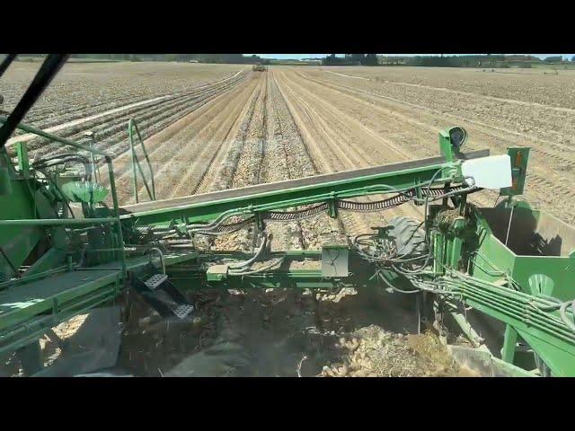 2023 Hafner Seed Farms Lenco Harvester view from the operator's seat