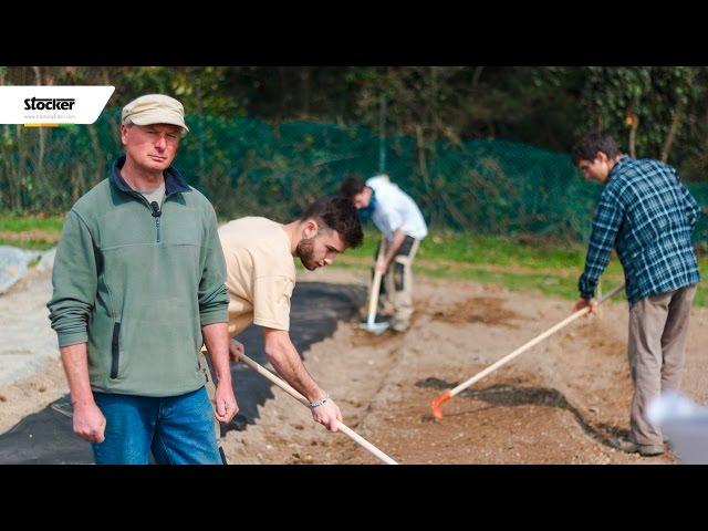 Come preparare il terreno per l'orto - tecniche e consigli - come coltivare l´orto biologico