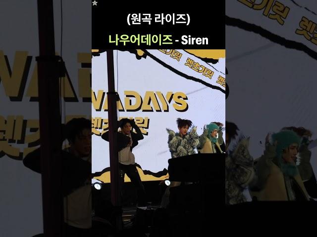 나우어데이즈 - Siren | 홍대 241121 #나우어데이즈 #nowadays #siren