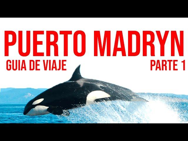 PUERTO MADRYN TURISMO. GUIA completa. Que hacer PARTE 1