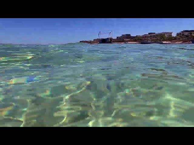 Swim with me on #swimTV in the Crystal Clear waters of Eel Garden, Dahab