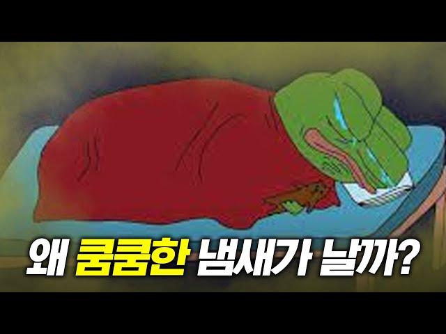 니 방 냄새