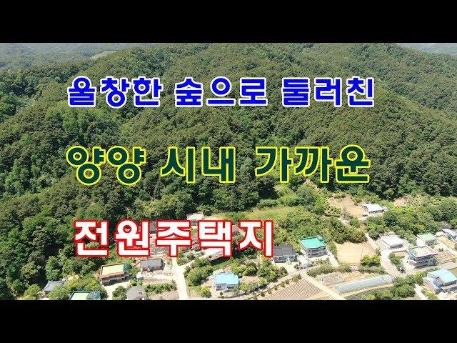 [거래 완료] 양양 시내 가까운 양양 전원주택지