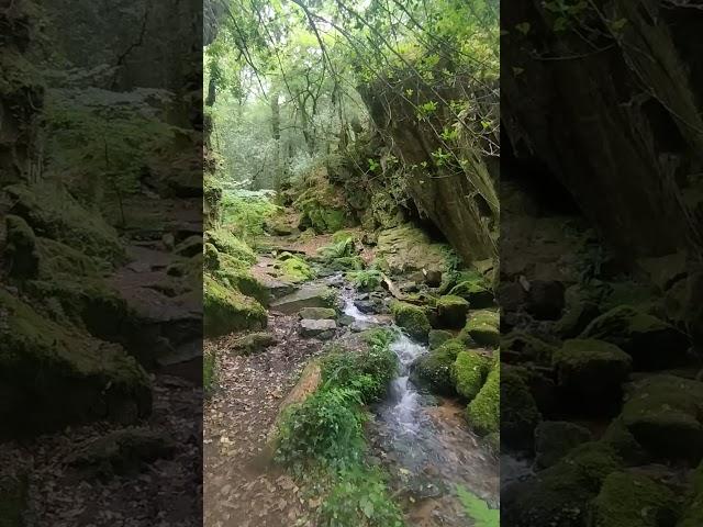 Au cœur de la nature en bretagne