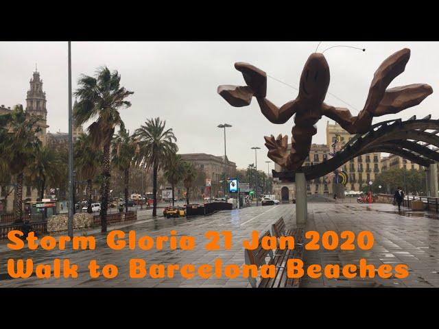 Storm Gloria Hits Barcelona | Walk along Moll de Fusta to Barcelona Beaches