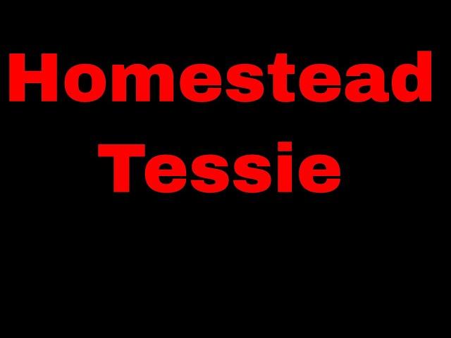 Homestead Tessie Amazing Grace FT Scott Wenger