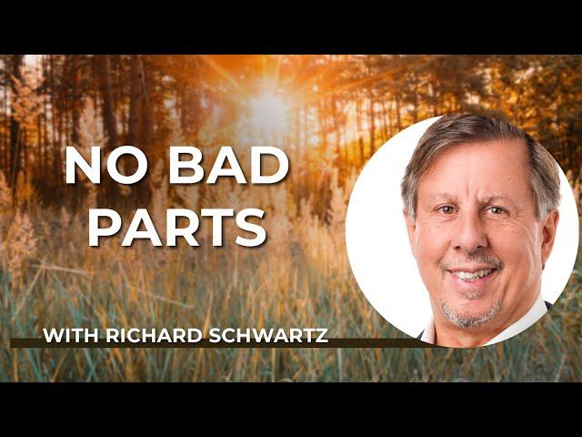 Richard Schwartz: No Bad Parts