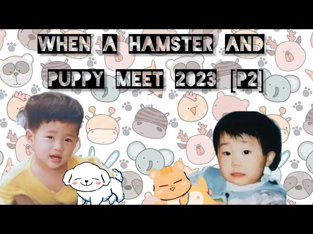 Woogyu: When a Hamster and Puppy Meet 2023 [P2]