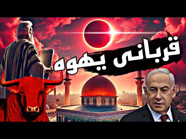 قربانی کردن گاو سرخ یهود / داستان بنی اسرائیل/ ظهور دجال