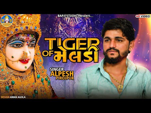 Alpesh Pirojpur | Tiger Of Meldi | Letest Gujarati Song 2022 | @bapjistudiolive_1819