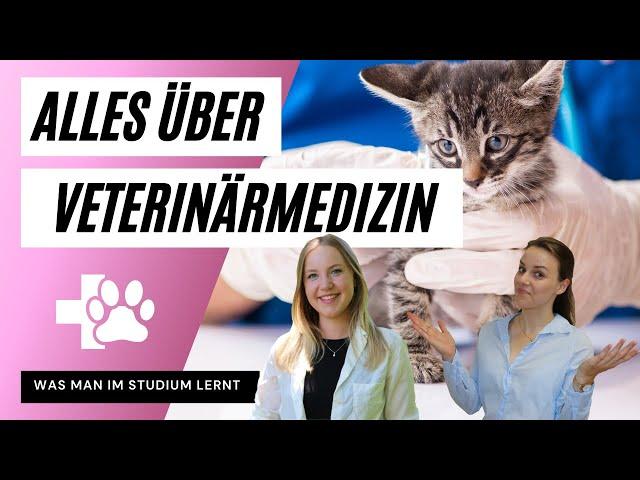 VETERINÄRMEDIZIN studieren an der VetMed Wien