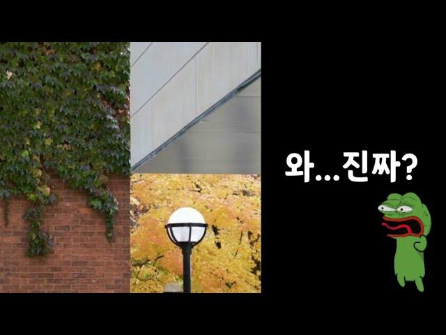 "착시현상테스트" 지금 보이는 사진은 몇장을 합친걸까요?