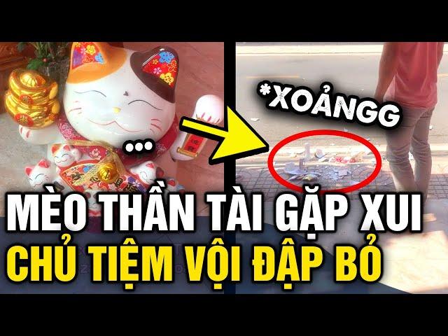 Chàng trai ĐẬP VỠ MÈO THẦN TÀI ngay trước cửa tiệm và câu chuyện BẤT NGỜ đằng sau | Tin 3 Phút