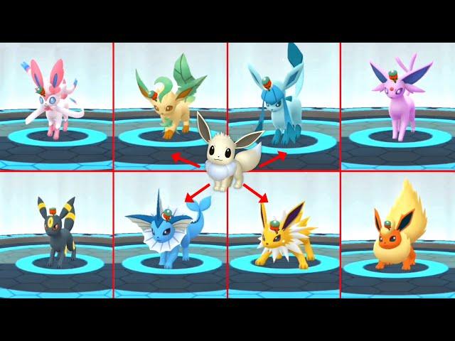 How to Get All Costume Eevee Forms (Eevee Evolution) in Pokemon go.